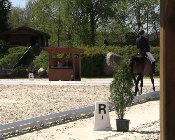 Reitturnier Pietzpuhl 2025