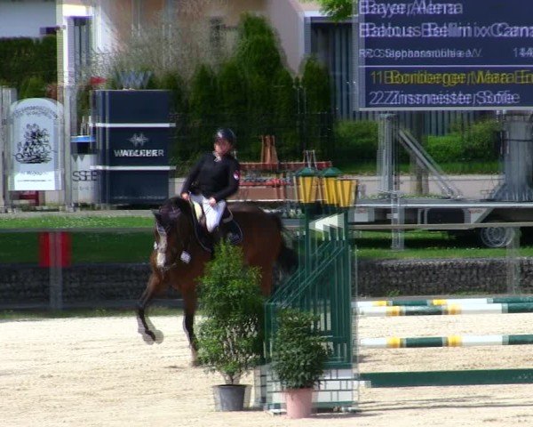 Reitturnier Ingolstadt-Hagau/Obb. 2025