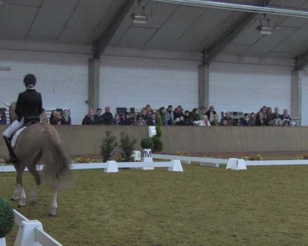 Dressurturnier IGD Vechta 2014