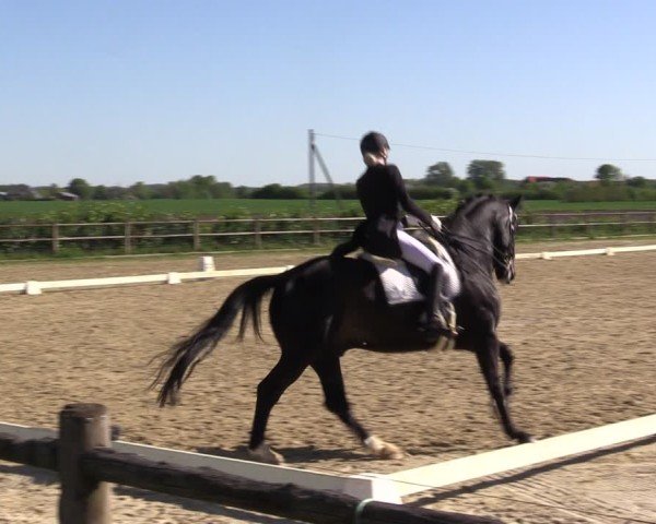 Reitturnier Warendorf, Reitstall am Rothenbach 2025
