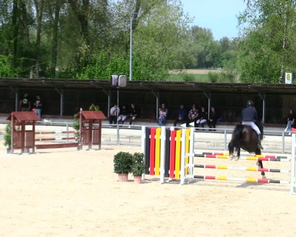 Reitturnier Ingolstadt-Hagau/Obb. 2025