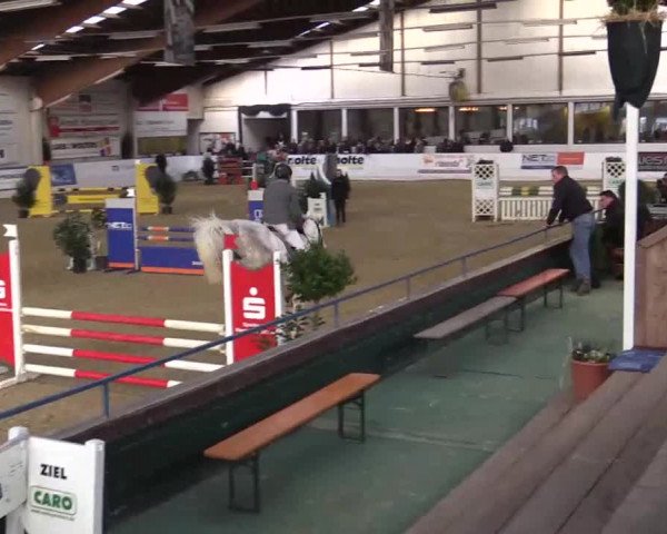 Hallenspringturnier in Borken 2014