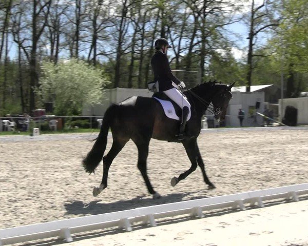 Reitturnier Pietzpuhl 2025