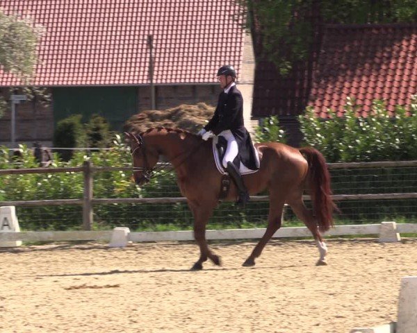 Reitturnier Warendorf, Reitstall am Rothenbach 2025