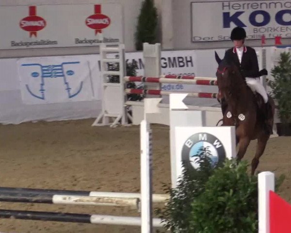 Hallenspringturnier in Borken 2014
