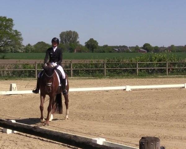 Reitturnier Warendorf, Reitstall am Rothenbach 2025