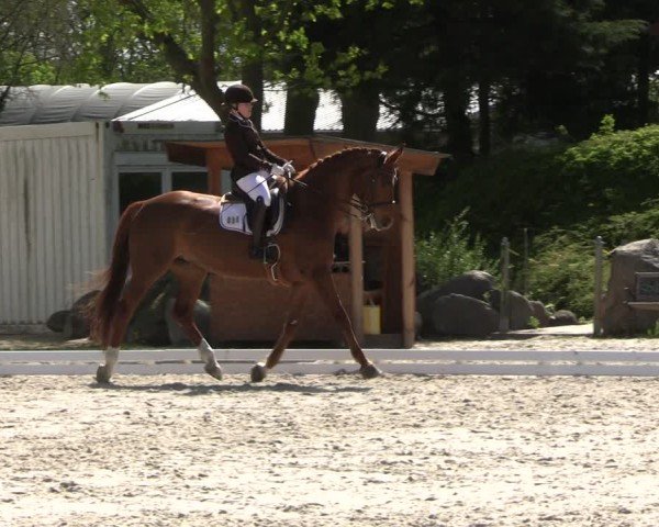 Reitturnier Pietzpuhl 2025