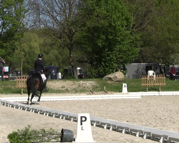 Reitturnier Pietzpuhl 2025