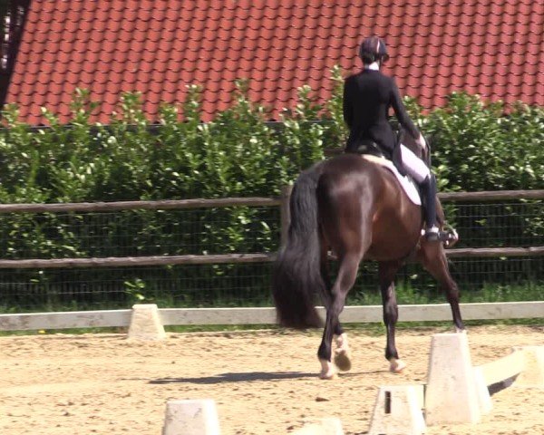 Reitturnier Warendorf, Reitstall am Rothenbach 2025