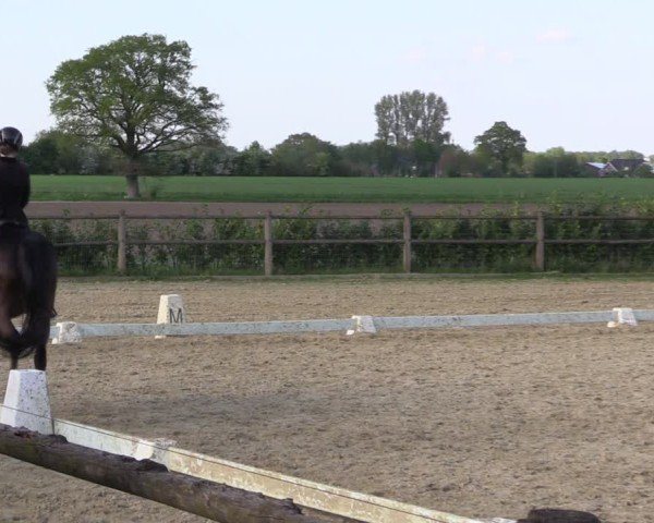 Reitturnier Warendorf, Reitstall am Rothenbach 2025