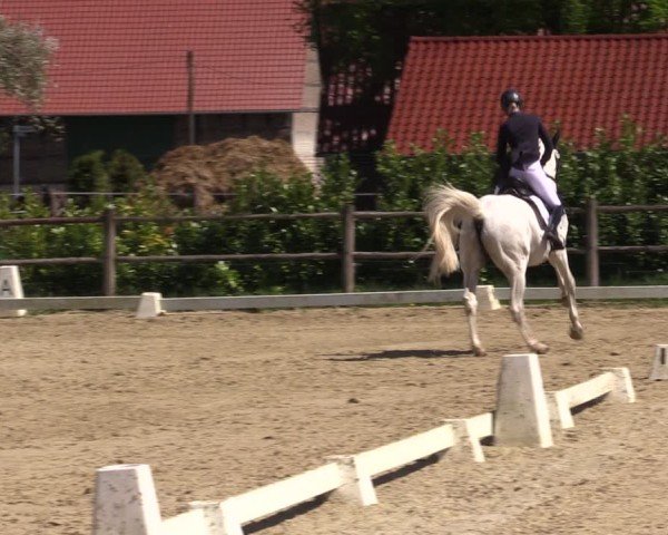 Reitturnier Warendorf, Reitstall am Rothenbach 2025