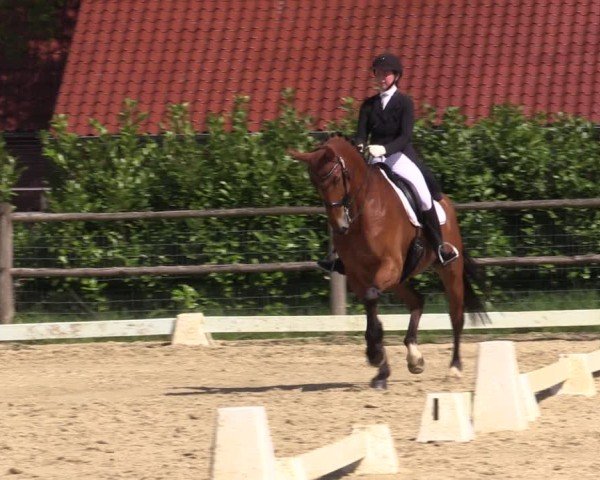 Reitturnier Warendorf, Reitstall am Rothenbach 2025