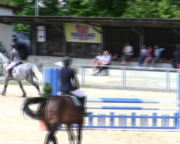 Reitturnier Ingolstadt-Hagau/Obb. 2025