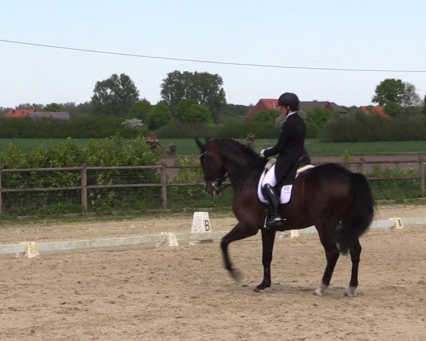 Reitturnier Warendorf, Reitstall am Rothenbach 2025