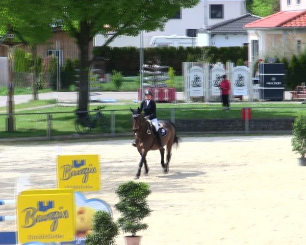 Reitturnier Ingolstadt-Hagau/Obb. 2025