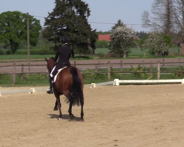 Reitturnier Warendorf, Reitstall am Rothenbach 2025