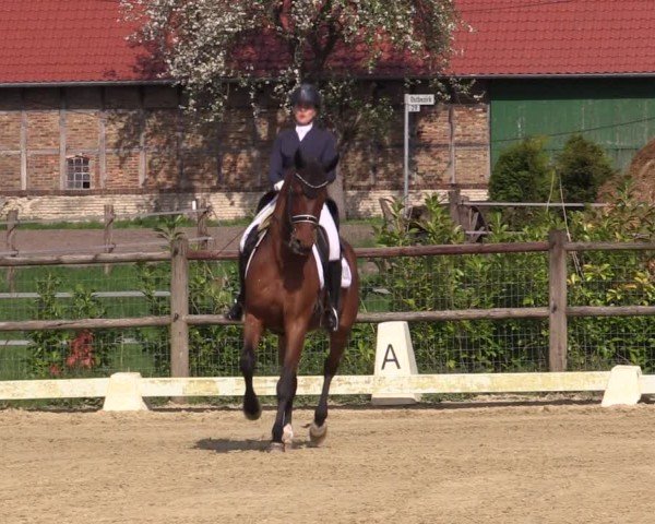 Reitturnier Warendorf, Reitstall am Rothenbach 2025