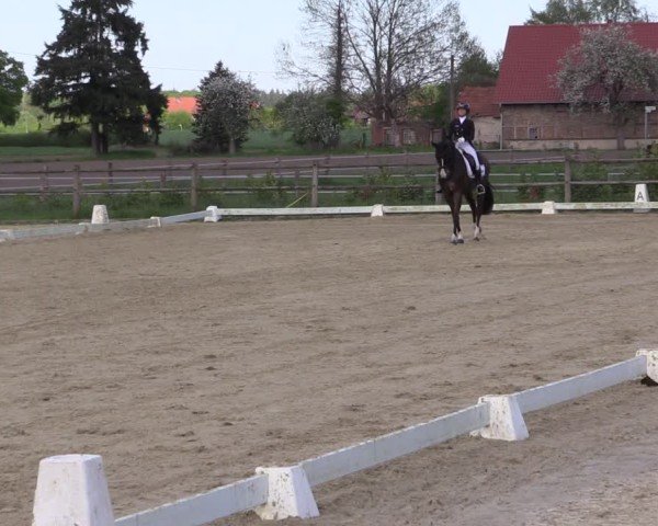 Reitturnier Warendorf, Reitstall am Rothenbach 2025