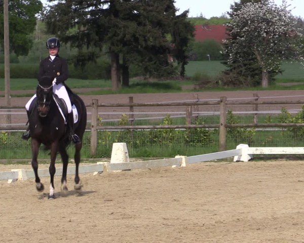Reitturnier Warendorf, Reitstall am Rothenbach 2025