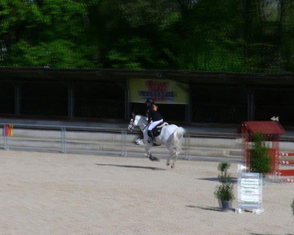 Reitturnier Ingolstadt-Hagau/Obb. 2025