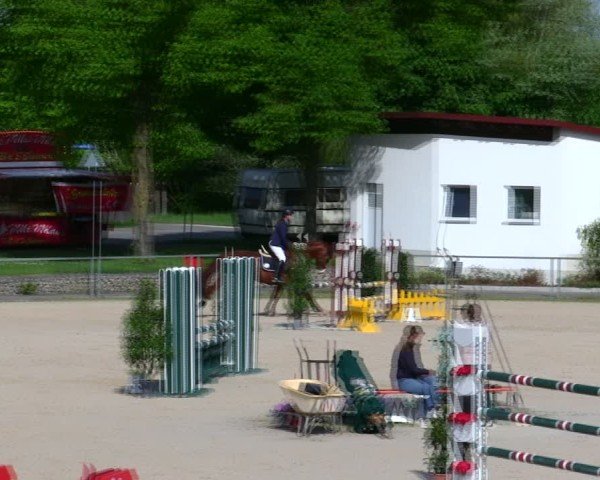 Reitturnier Ingolstadt-Hagau/Obb. 2025