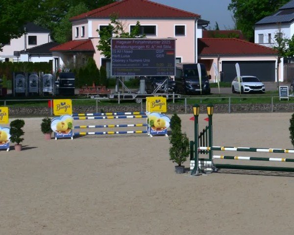 Reitturnier Ingolstadt-Hagau/Obb. 2025