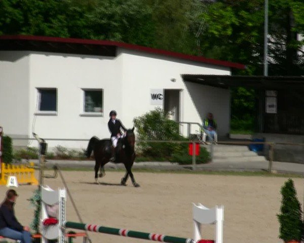 Reitturnier Ingolstadt-Hagau/Obb. 2025