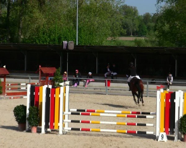Reitturnier Ingolstadt-Hagau/Obb. 2025