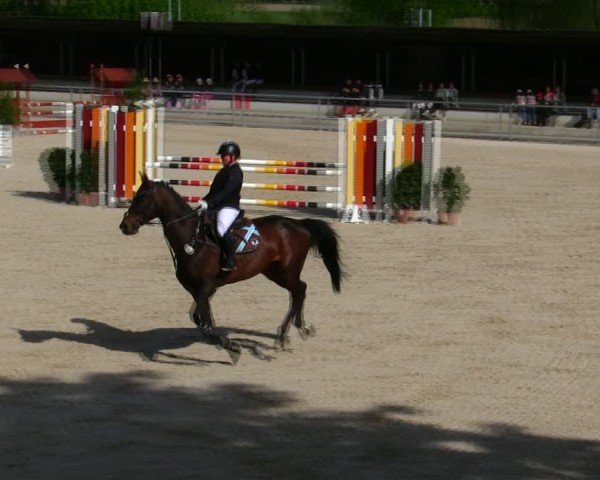 Reitturnier Ingolstadt-Hagau/Obb. 2025