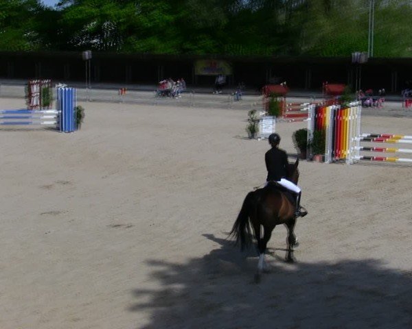 Reitturnier Ingolstadt-Hagau/Obb. 2025