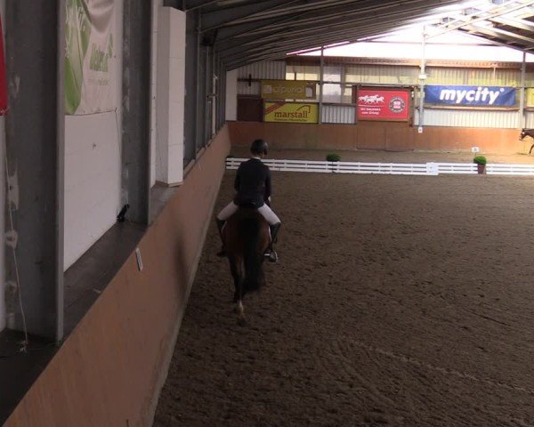 Reitturnier Schlieckau 2025