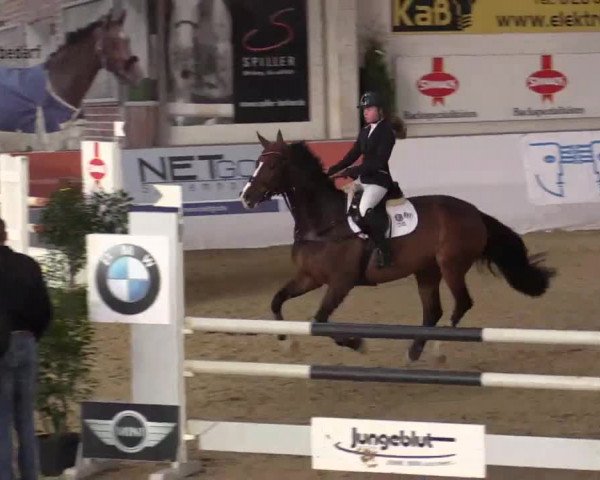 Hallenspringturnier in Borken 2014