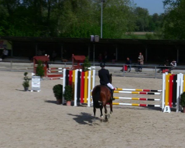 Reitturnier Ingolstadt-Hagau/Obb. 2025