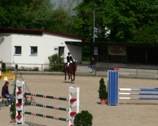 Reitturnier Ingolstadt-Hagau/Obb. 2025