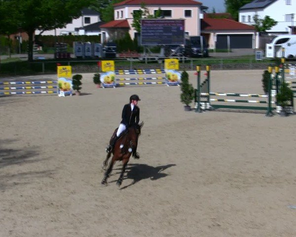 Reitturnier Ingolstadt-Hagau/Obb. 2025