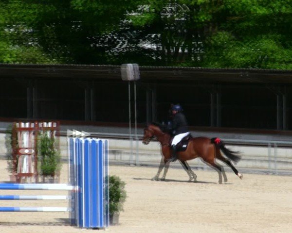 Reitturnier Ingolstadt-Hagau/Obb. 2025