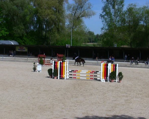 Reitturnier Ingolstadt-Hagau/Obb. 2025