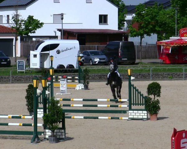 Reitturnier Ingolstadt-Hagau/Obb. 2025