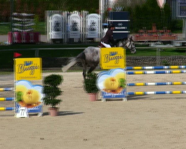 Reitturnier Ingolstadt-Hagau/Obb. 2025