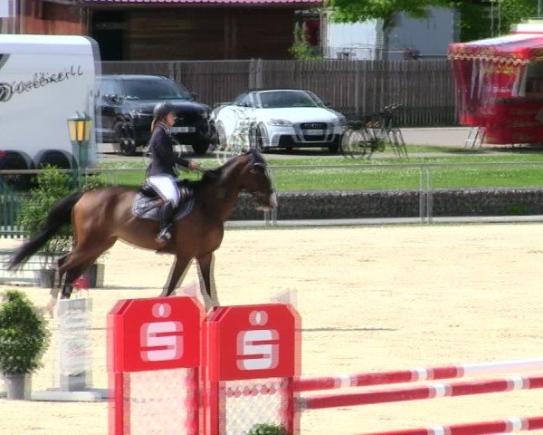 Reitturnier Ingolstadt-Hagau/Obb. 2025