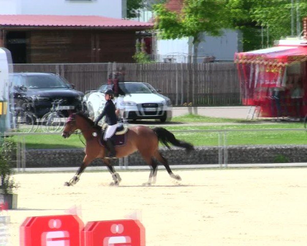 Reitturnier Ingolstadt-Hagau/Obb. 2025