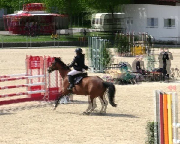 Reitturnier Ingolstadt-Hagau/Obb. 2025