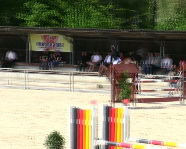 Reitturnier Ingolstadt-Hagau/Obb. 2025