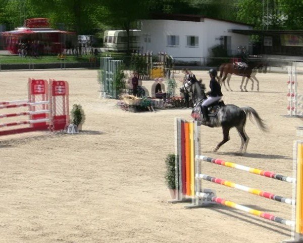 Reitturnier Ingolstadt-Hagau/Obb. 2025