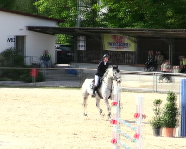 Reitturnier Ingolstadt-Hagau/Obb. 2025