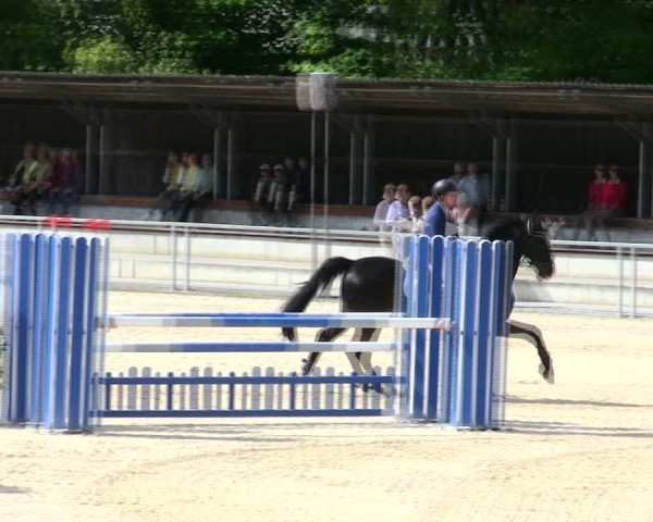 Reitturnier Ingolstadt-Hagau/Obb. 2025
