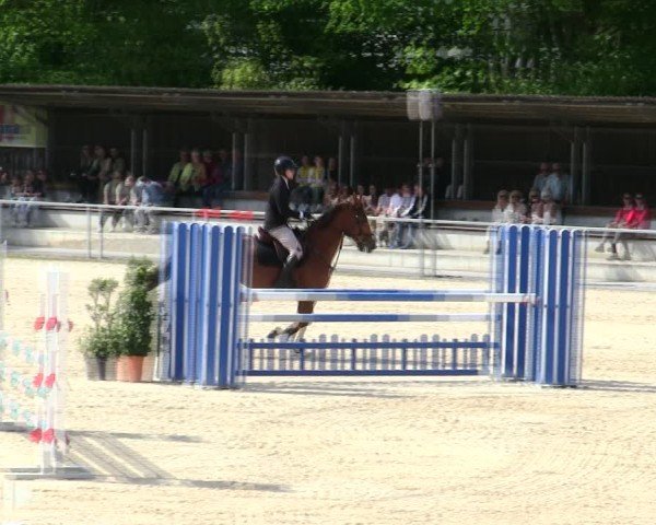 Reitturnier Ingolstadt-Hagau/Obb. 2025