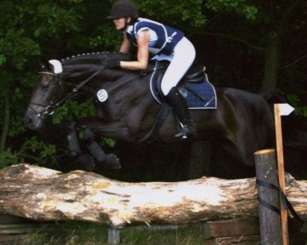 broodmare Solitär 12 (Hanoverian, 1995, from Singular Joter)