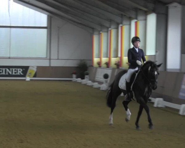 Dressurturnier IGD Vechta 2014