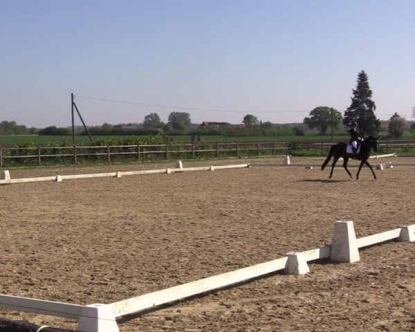 Reitturnier Warendorf, Reitstall am Rothenbach 2025